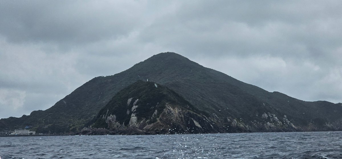 wugurushima's tweet photo. 鵜来島 https://t.co/4eZ6Hl46Jq