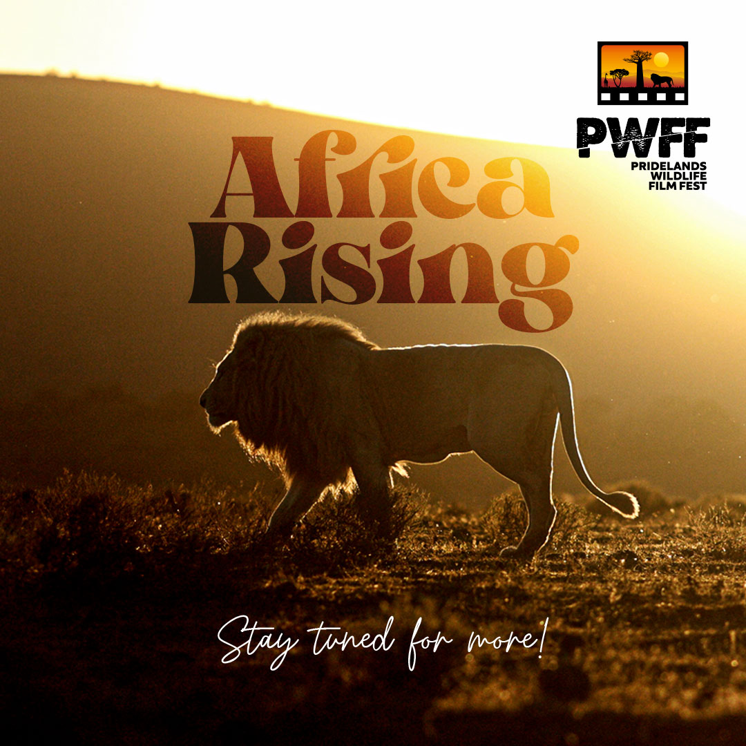 This November, immerse yourself in the wonders of our Pridelands!
Announcing our theme: 'Africa Rising' 
Stay tuned for more! 

#africanstories #africanstorytellers
#tellingthestoriesofwildafrica #shiftingnarratives
#weretheoneswevebeenwaitingfor
 #pwff2023