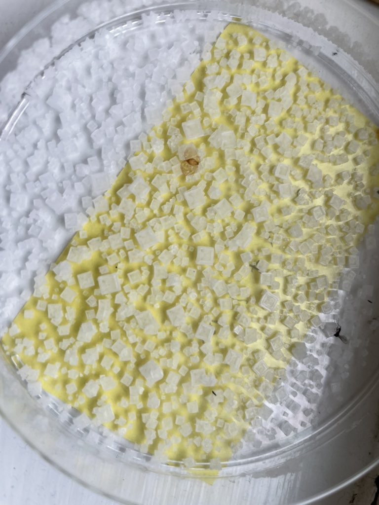 year5barwell's tweet photo. Look how cool our salt crystals are after we tested separating materials using evaporation! the shapes are beautiful. @barwellacademy https://t.co/KYSWpZQPpG