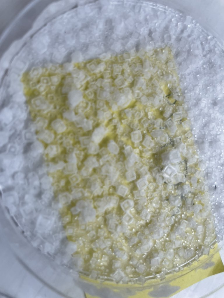 year5barwell's tweet photo. Look how cool our salt crystals are after we tested separating materials using evaporation! the shapes are beautiful. @barwellacademy https://t.co/KYSWpZQPpG
