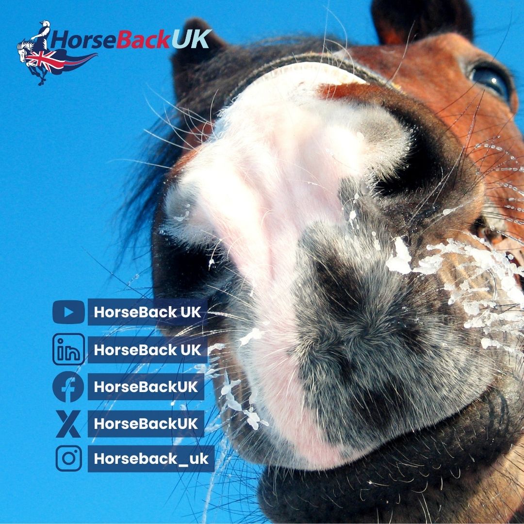 Be part of the HorseBack UK journey! 🐎 Connect with us and join a community making a real difference. Follow us on Facebook, Instagram, and LinkedIn for more. #HorseBackUK #Community #JoinTheJourney

horseback.org.uk/social-media/