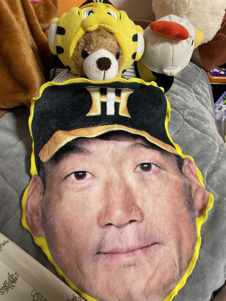 お仕事疲れた
金本に会いたい。一目、生で拝みたい。