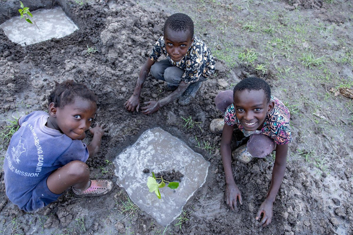 OmeteYusuf's tweet photo. The 15Billion trees campaign is well achievable, it will require each one of us to be an ambassador of greening Kenya.

The clock is ticking towards 2032&amp; Kenya under President William Ruto is steadily on course

#GreeningKenya
#Roadto15BTrees
#NationalTreePlantingDay
#UDAParty https://t.co/QFNeA3C7WH