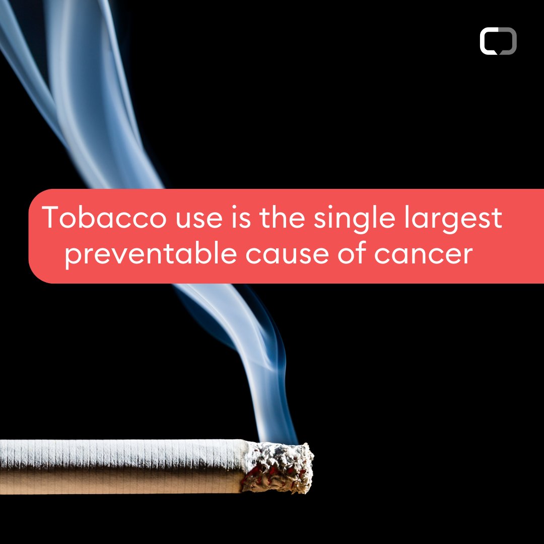 tobacco straw 4S S M O K E – Straw Cigarettes