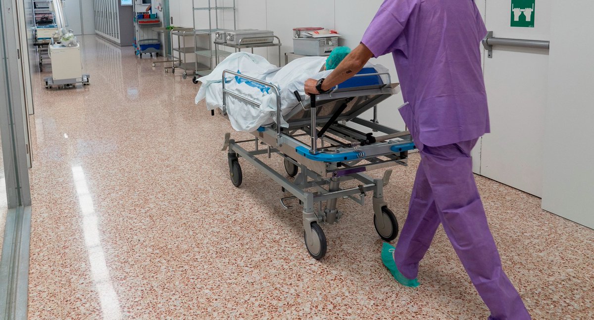 📚Aquesta entrega de #RELATHos és especial. La seva autora, Maria Sánchez li dedica el seu relat, ‘Para Frank’ a un pacient que va conèixer entre passadissos. Únicament en sap el seu nom i que està completament sol...
🧐Descobreix el seu desenllaç aquí: bit.ly/3uaH8WS