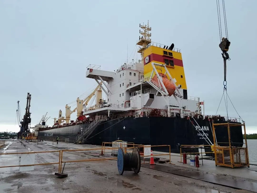 Alberto Conocchiari tweet media