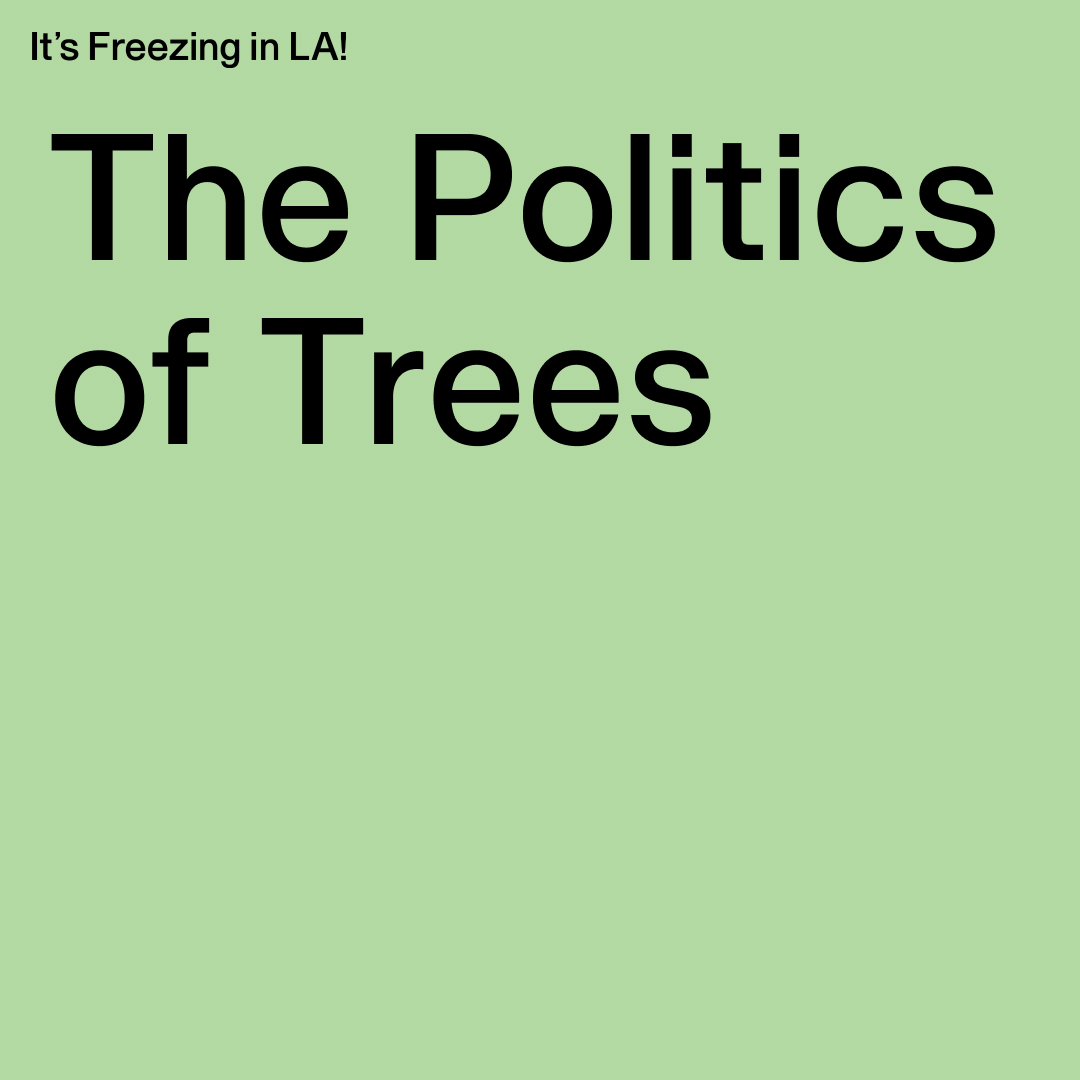 Chris Saltmarsh (@chris_saltmarsh) on Twitter photo My essay on the (reactionary?) Politics of Trees is featured in the latest issue of <a href="/itsfreezinginla/">It's Freezing in LA! Magazine</a> magazine 🌳
Order it now at itsfreezinginla.com/shop 📰 My essay on the (reactionary?) Politics of Trees is featured in the latest issue of <a href="/itsfreezinginla/">It's Freezing in LA! Magazine</a> magazine 🌳
Order it now at itsfreezinginla.com/shop 📰