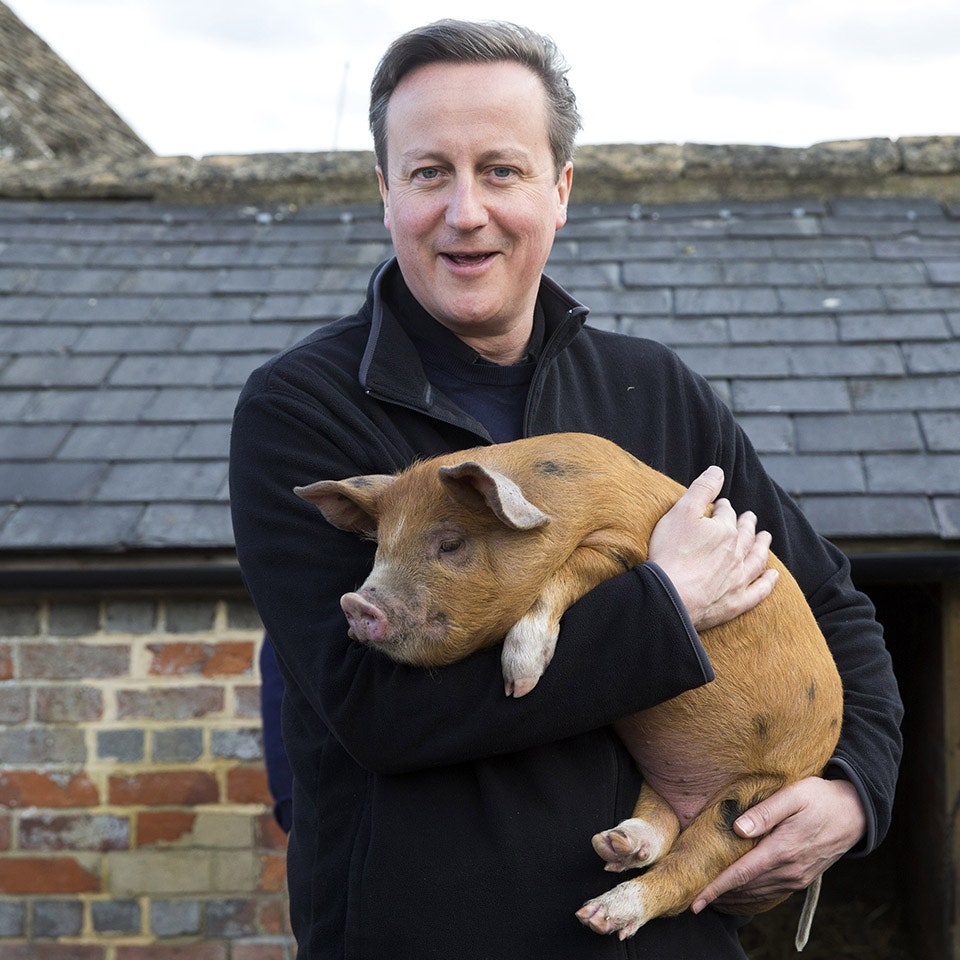 holte's tweet image. So just to recap

This morning, due to allowing far right views to infiltrate his cabinet, our unelected PM appointed an unelected foreign Seceratry, in David Cameron, who can not be scrutinised by Parliment as he is not an MP

When will this shit show end?

#GeneralElectionNow