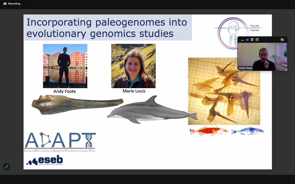 Very happy to kick off the 2nd edition of the course 'Incorporating paleogenomes into evolutionary genomics studies' with @AndrewFoote2 & @marie__louis. This course is funded by the ADAPT @eseb_org special topic network.