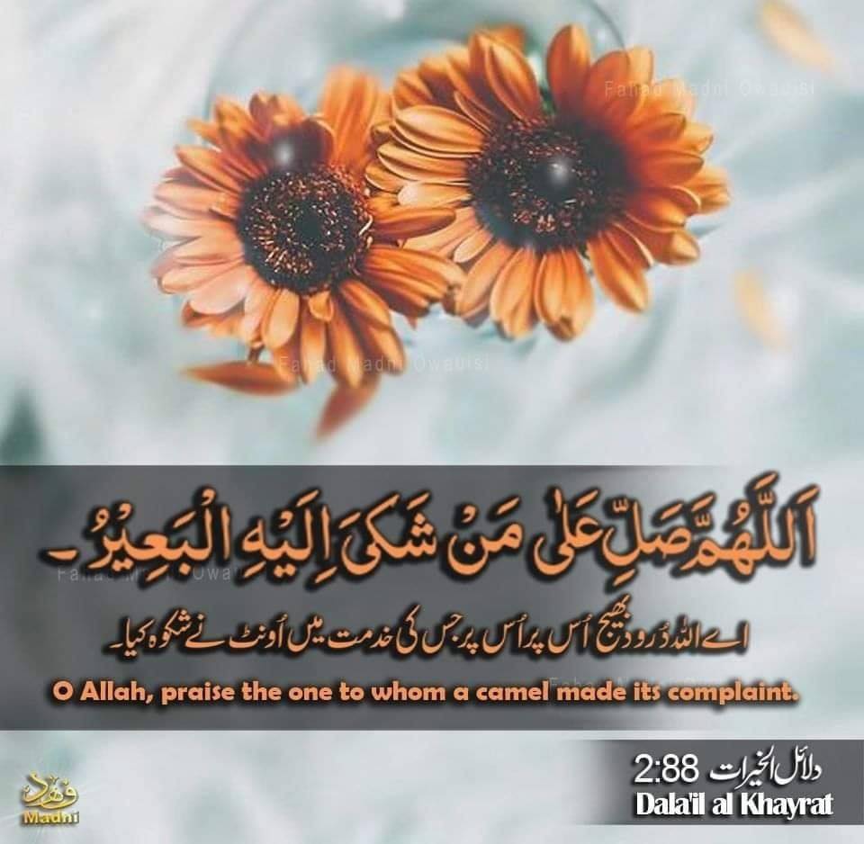 gquranlearning's tweet photo. آخری نبی، محمد عربی،پیارے  مصطفی علیہ التحیۃ والثناء کی ذات پر محبت سے درود و سلام پڑھیں۔
Message Us for Learn Quran Online from all over the world.
#Daroodepak #quran_kareem #dawateislami #lovequran #Quran #islam #gquranlearning #onlinelearning #translation #onlineclasses https://t.co/inCnirl6R6
