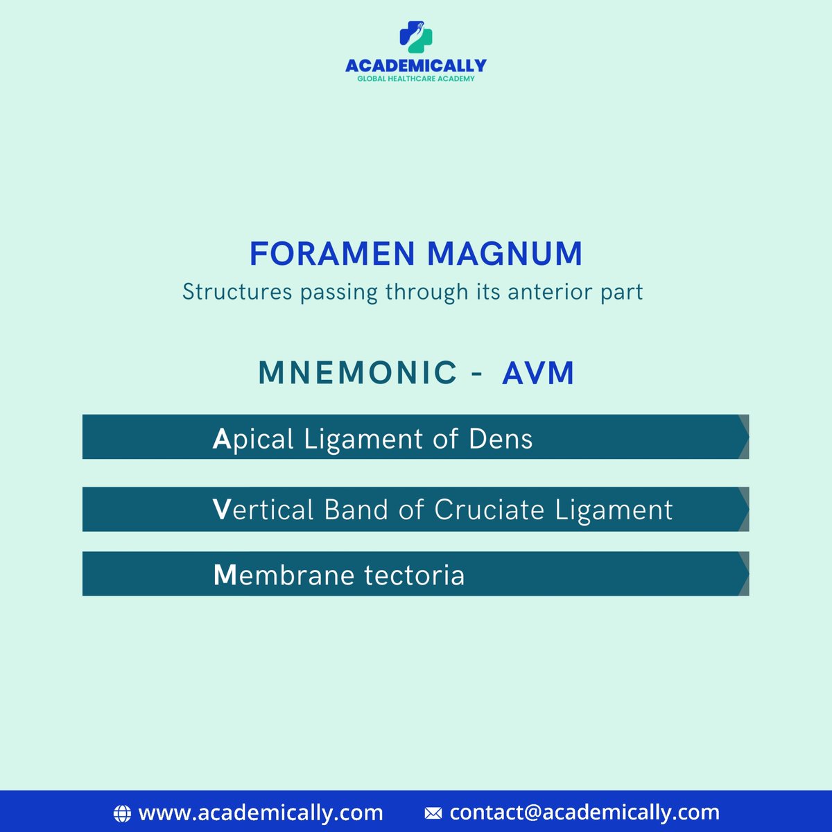 Quickly recall the structures passing through the foramen magnum through its anterior part with this mnemonic!

Save this for future reference. 😉

#AustralianMedicalCouncilExam #AMCExam #AMCAustralia #AMCExamAustralia #WorkinAustralia #Doctors #MBBS #MD #AcademicallybyDrAkram