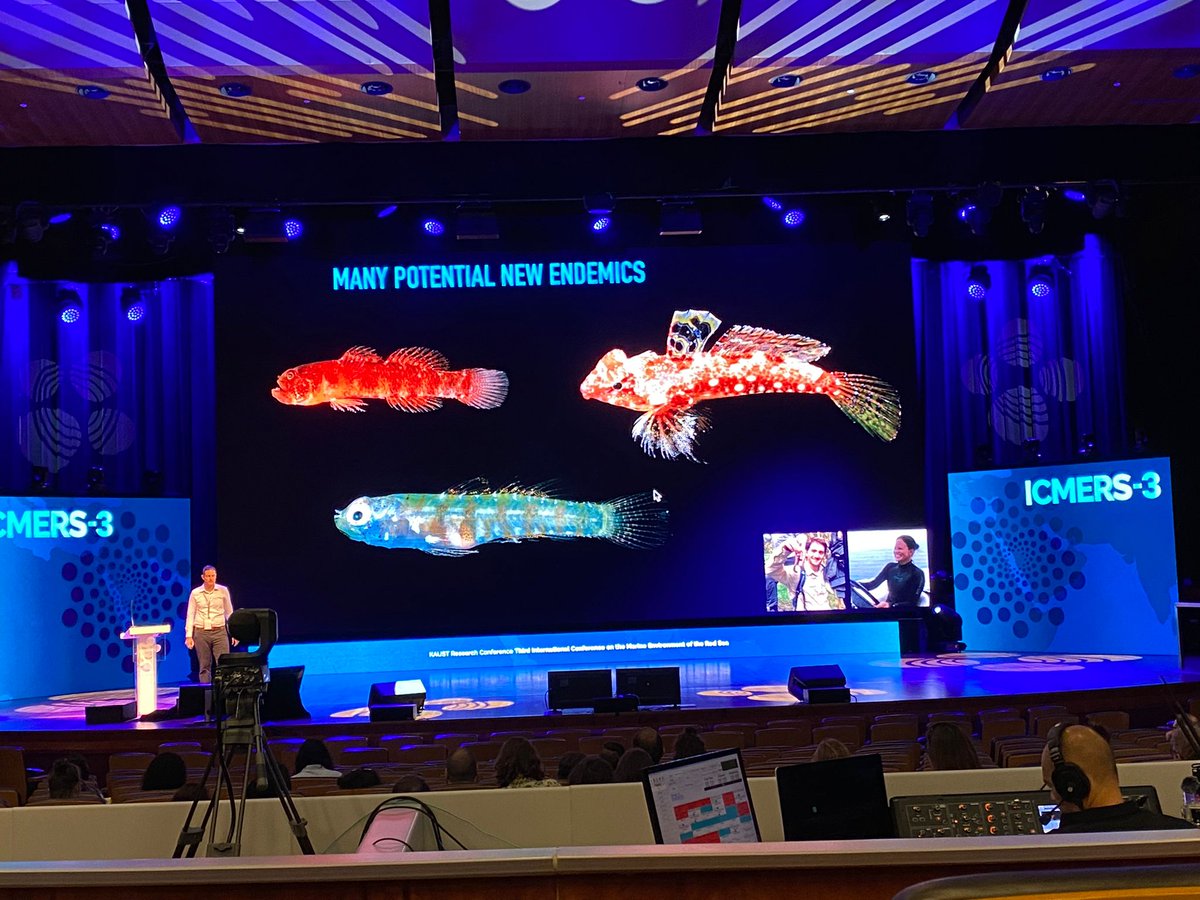 Reef Ecology Lab tweet media