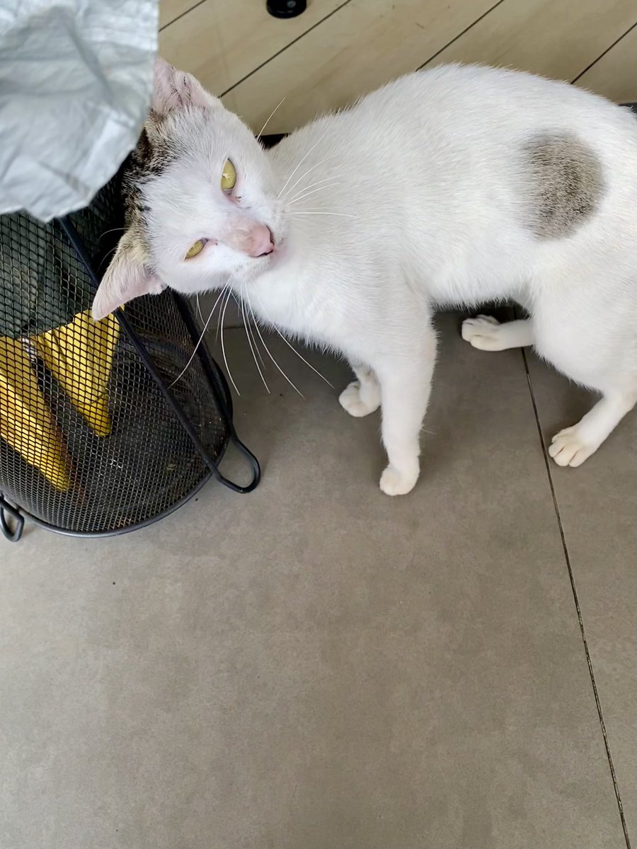 han so hee saw it first