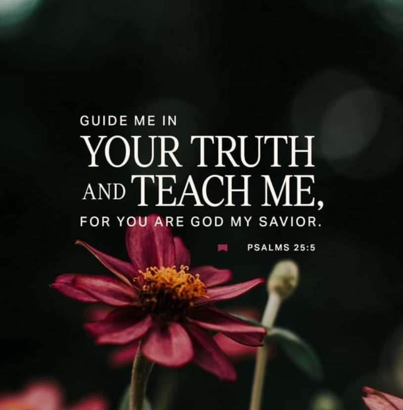 dolantommy's tweet image. bible.com/stories/14253

@YouVersion 

#guideme #teachme #Godstruth #hopeinGod #alldayeveryday #inJesusnameamen #bibleverseoftheday