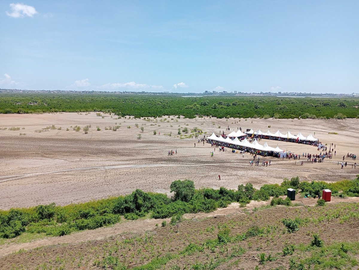 _meetLawrence's tweet photo. Today I participated in a #TreePlantingDay at Mombasa, we were joined by HE CS Murkomen. Mangroves are vital for the coastal ecosystem, as they provide habitat for many species, protect the shore from erosion and storms, and filter pollutants from the water.
#JazaMiti https://t.co/ibD37d4am9