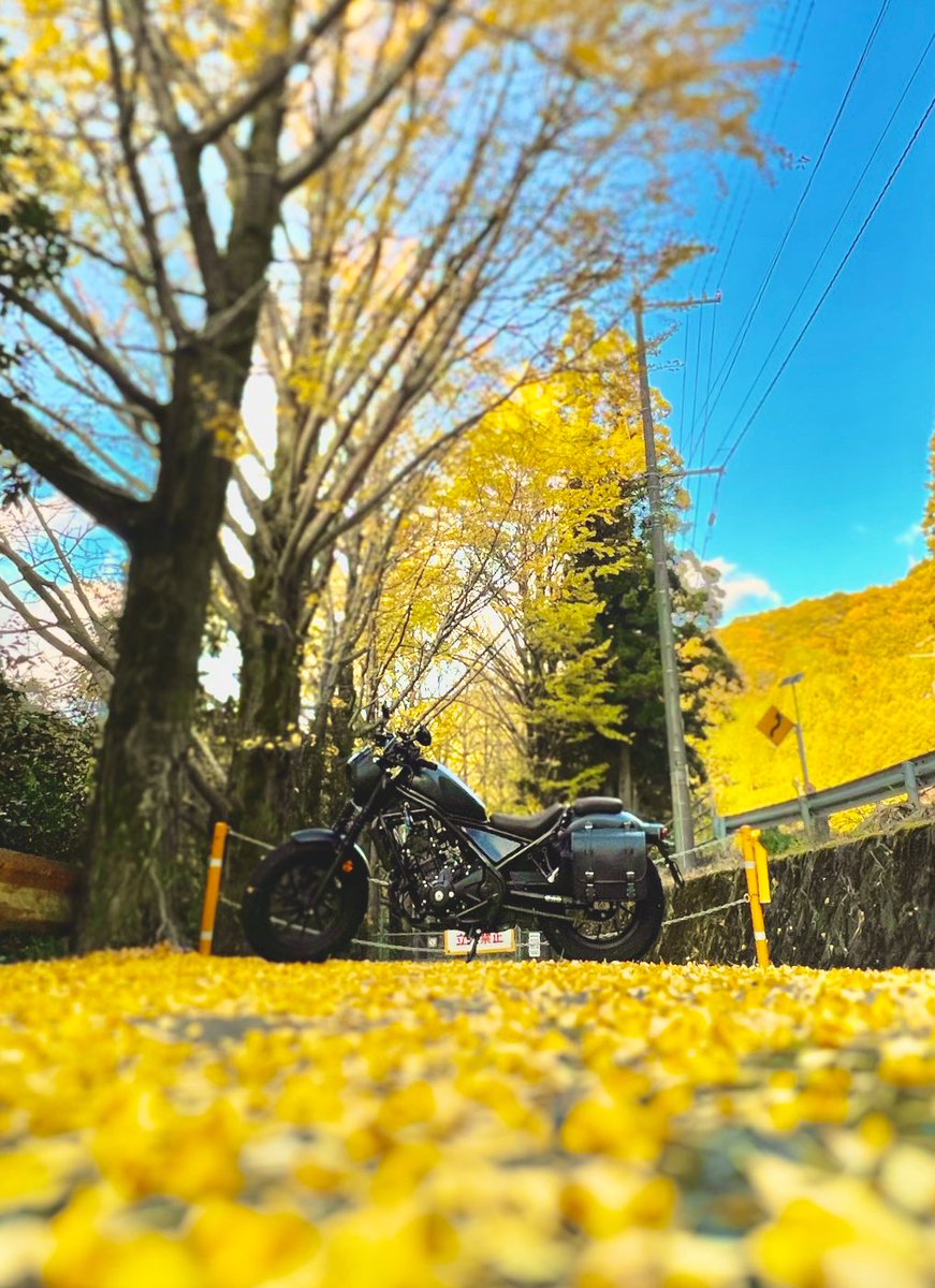 tatsuorider's tweet photo. 名前 : たつ
性別：男
年齢：49
身長：168
住み：愛媛県
車種：#レブル250 (2023年式)
趣味 ：自転車→キャンプ→登山→バイク　
一言：ズブの素人ですが、死ぬまでにしたい事できるだけやっとこと思い、バイクはじめました。バイク仲間募集🙇
#バイク好きと繋がりたい
#バイク乗りとして軽く自己紹介 https://t.co/UamIL6n1Yb