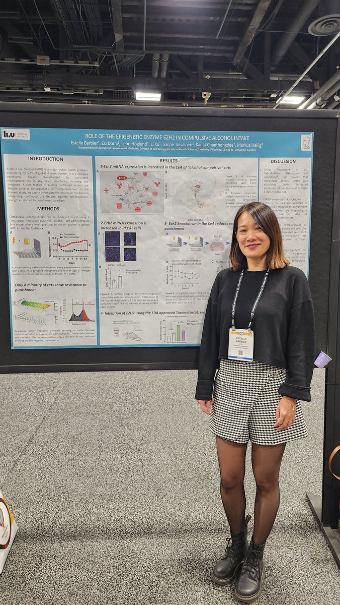 Do you want to know about the role of EZH2, an epigenetic target that modulates compulsive alcohol intake?  Come by my poster this morning, monday 14th #SS14 #SfN2023 
❗️My lab is hiring! Open postdoc position #epigenetics #braincircuits #anxiety #alcohol 🧠🍺