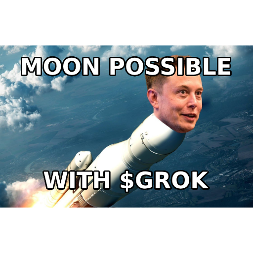 DavidKrolETH's tweet photo. $GROK is my new target BSC project..! https://t.co/ncAicn4fzt