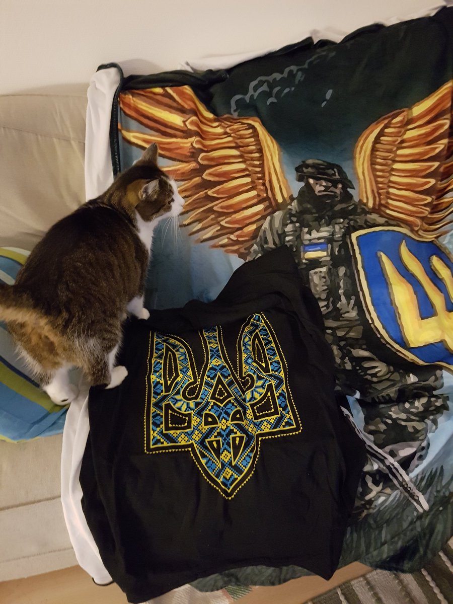 resettodefault's tweet photo. @PiercePress @UkraineCat99 Cat approved!!!😂😂 https://t.co/Jnm2oclY4H