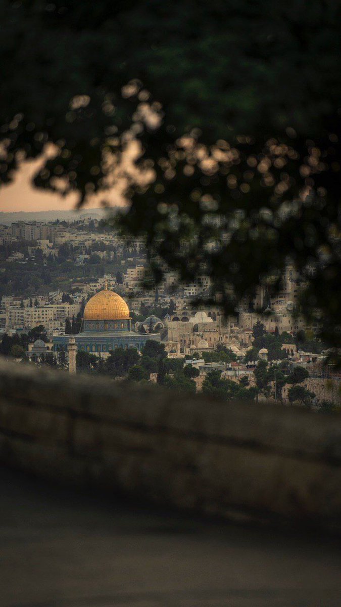 يا رب تلك قلوب مُدماة قد أضناها الفقد وأرهقها وهي عند بابك تتقوّى على مصابها باسمك"لا إله إلّا اللّٰه"وتحمدك رغم البليّة"الحمد للّٰه ربّ العالمين"
وتناجيك "اللّٰهمّ"
فارحم ضعفَ عبادك الضّعفاء، واربط على قلب من فقَد
وآوي إليك من تشرّد
وأجِرهم في مصيبتهم واخلفهم خيرا منها يا الله