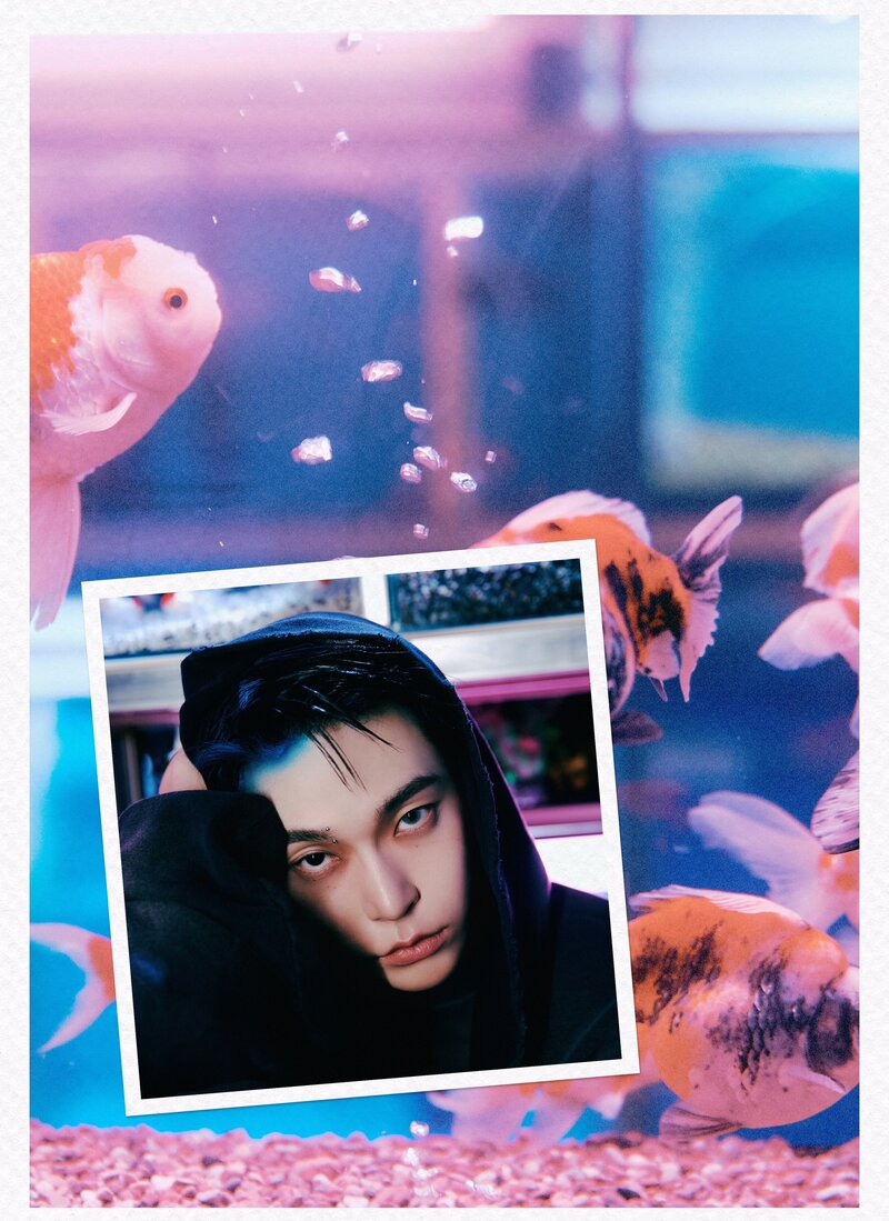 <a href="/_martwica/">ッ LIÊM end</a> ⠀
NCT 127: ‘FACT CHECK’ #AVE 
concept photos no. 01  ( 19.11.23 )

#NEO_CITY   #NCT127   #FACT_CHECK   #NCT
⠀