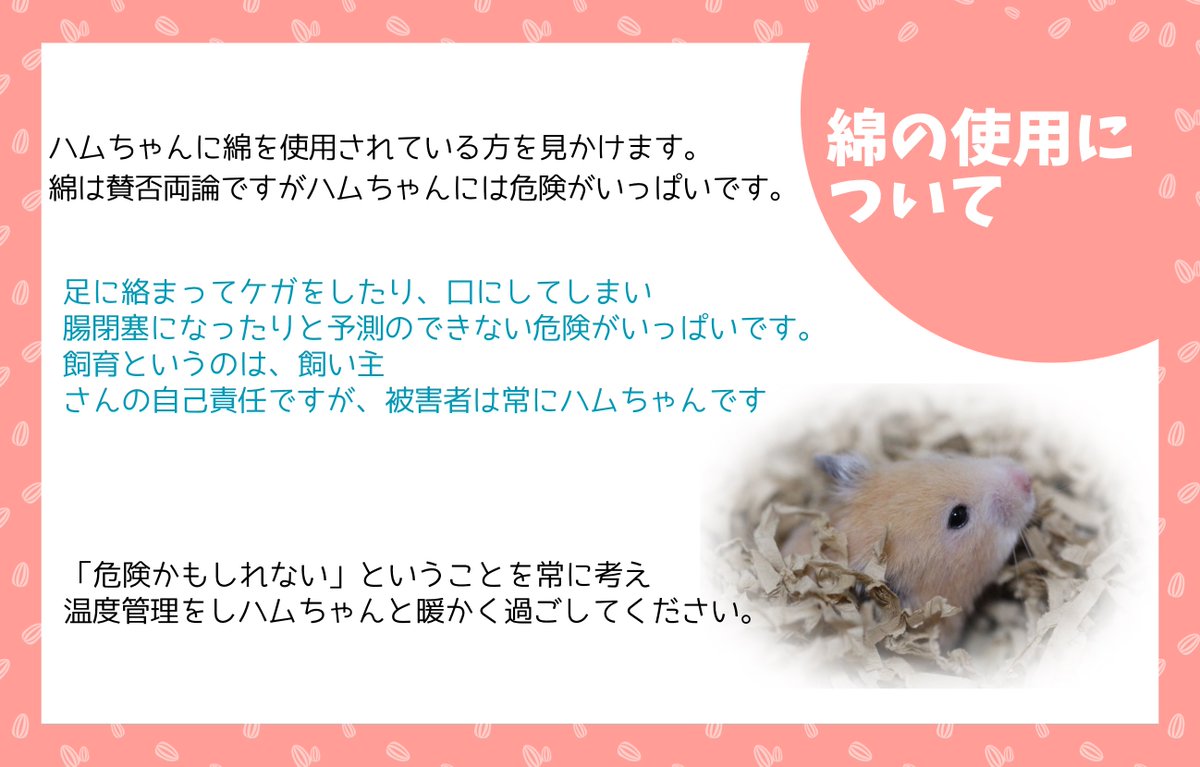 ham_edia's tweet photo. ⚠️注意喚起⚠️
全国的にとても気温が低くなり、冬らしい気温になってまいりました。

ご自宅のハムちゃんの命を守るためにも、適温管理ができているか今一度ご確認ください。

以下の商品のように、ケージに取り付け可能な小さな暖房もございます。

https://t.co/xBQ5M6bwq6

#ハムスター
#擬似冬眠 https://t.co/nFIgqKlzDi