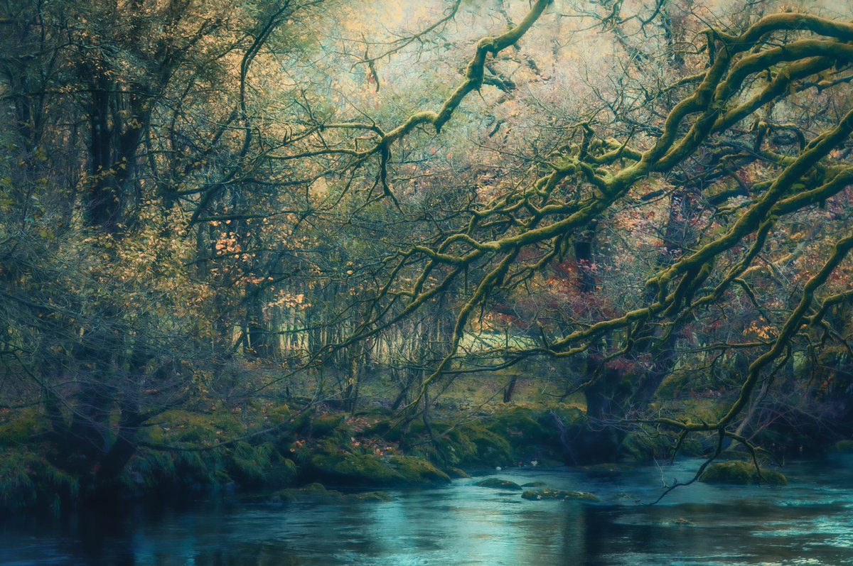 Autumn Snowdonia

#fsprintmonday #wexmondays @OPOTY #woodlandphotography #snowdonia #appicoftheweek #photooftheday