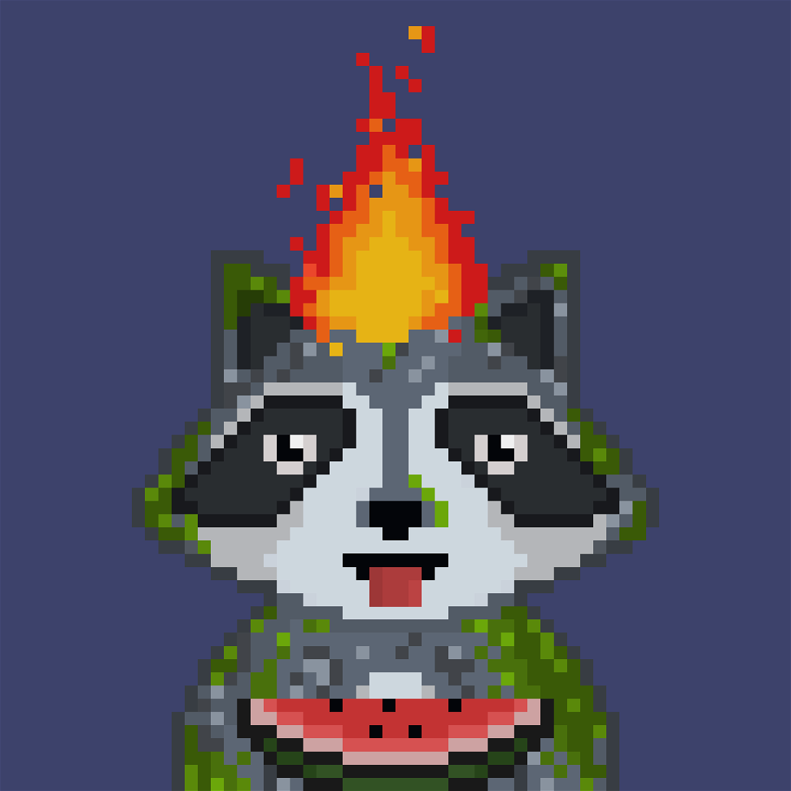 retiring.algo tweet media