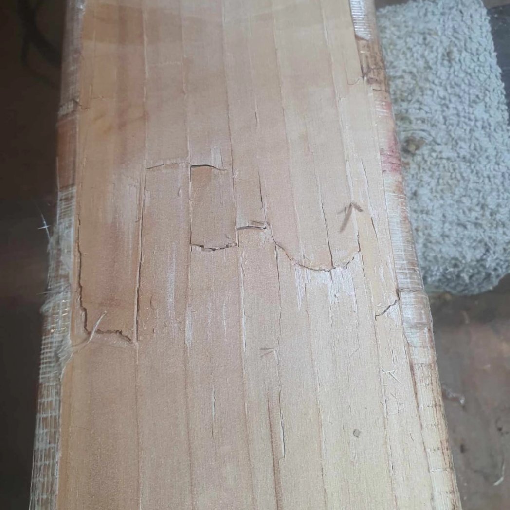 bats_bear's tweet photo. Great to welcome Ed of @ClydachCC and @SUCC_Cricket to the workshop today.
Ed brought his bat in for some TLC and I think you'll be able to see from the before and after pictures that his bat is ready to go for winter nets and summer 2024!
#swearbythebear
#gowellEd https://t.co/oYBXuHeZ0S