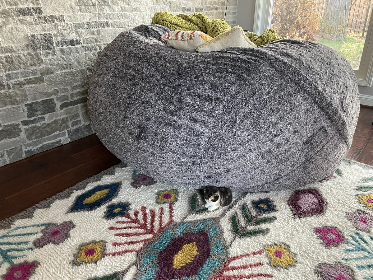 Good morning from Peanut 🥜 
Can you find her? 🥰