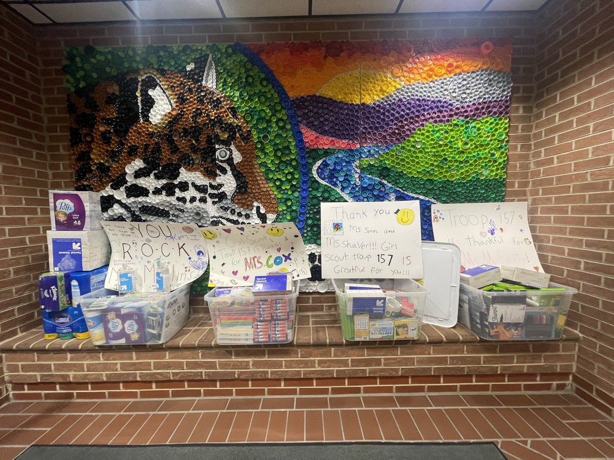 Girl Scout Troop 157 is AMAZING! This morning, they surprised the related arts teachers with all of these supplies! Thank you so much!! 💙🤎💚