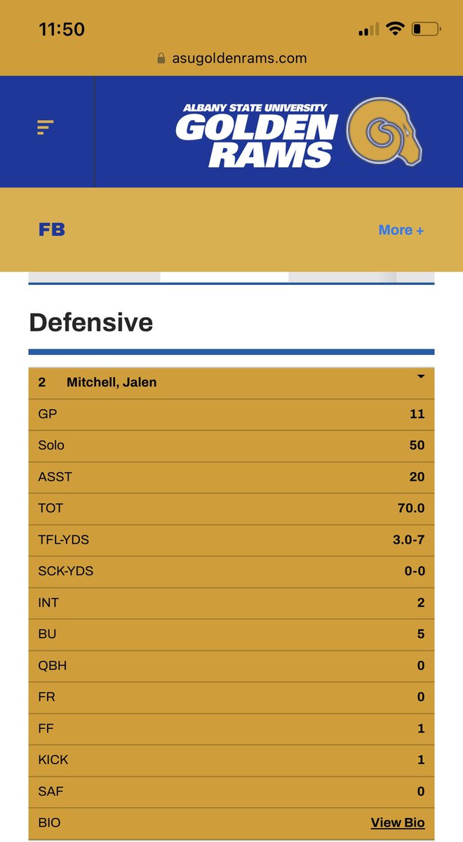 Team leader and season stats ✨
