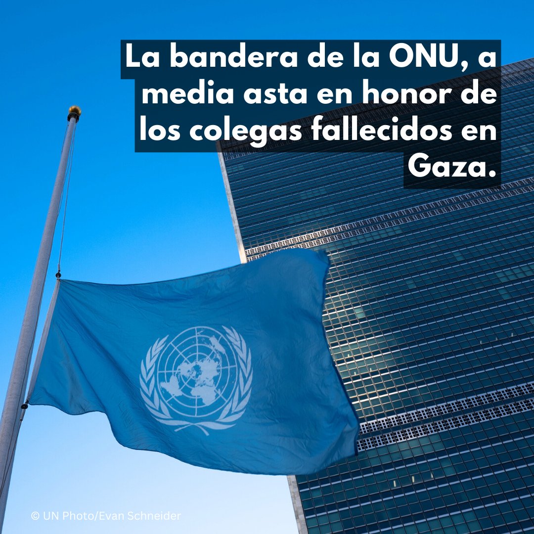 Las banderas de la ONU ondean a media asta en la sede y en las oficinas de todo el mundo en homenaje a nuestros colegas fallecidos en Gaza en las últimas semanas.

Nunca los olvidaremos.

Los civiles y los trabajadores humanitarios #NoSonUnObjetivo.