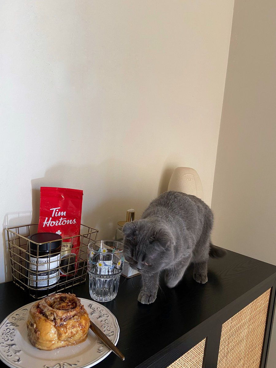 𝘸𝘦𝘫𝘥𝘢𝘯 𝘢𝘭𝘰𝘵𝘢𝘪𝘣𝘪 🦌.. tweet media