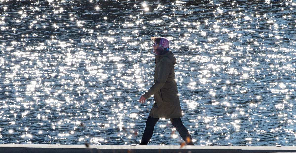 Sunlight reflecting off Silver Lake backlights walkers in #Waterloo Park.