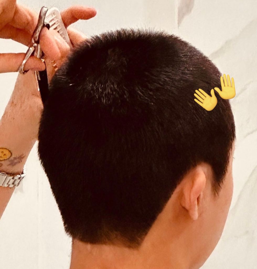 넘 복실복실할 것 같음,, 
북박북박 만져도 얌전히 이쁨 받을 것 같음,,