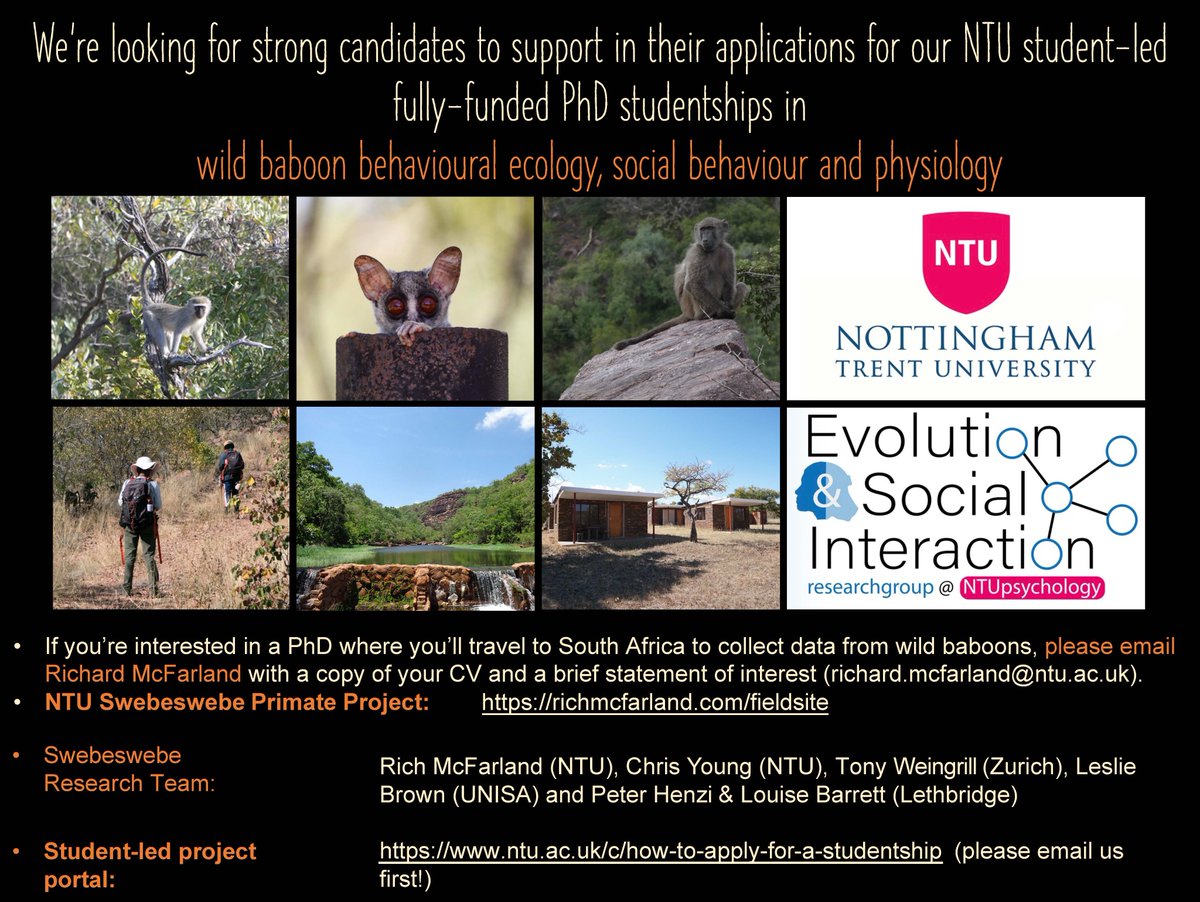 Fully funded PhD studentships on baboon behavioural ecology, social behaviour and physiology in South Africa! @PsychologyNTU @TrentUni with me, @rich_mcfarland and @evo_NTU If you have a research idea then get in touch with us to discuss 👇