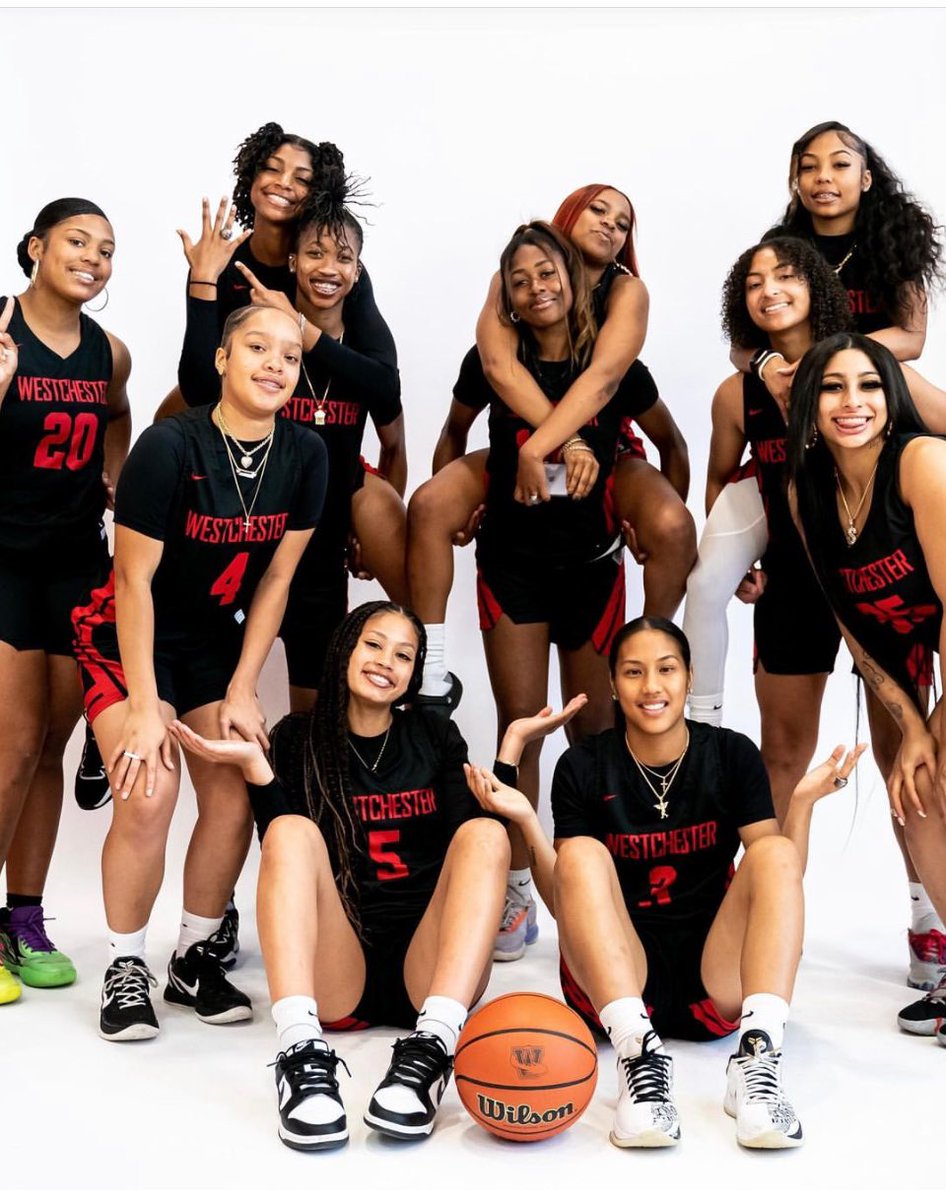 Westchester Lady Comets ☄️ 2023-2024.