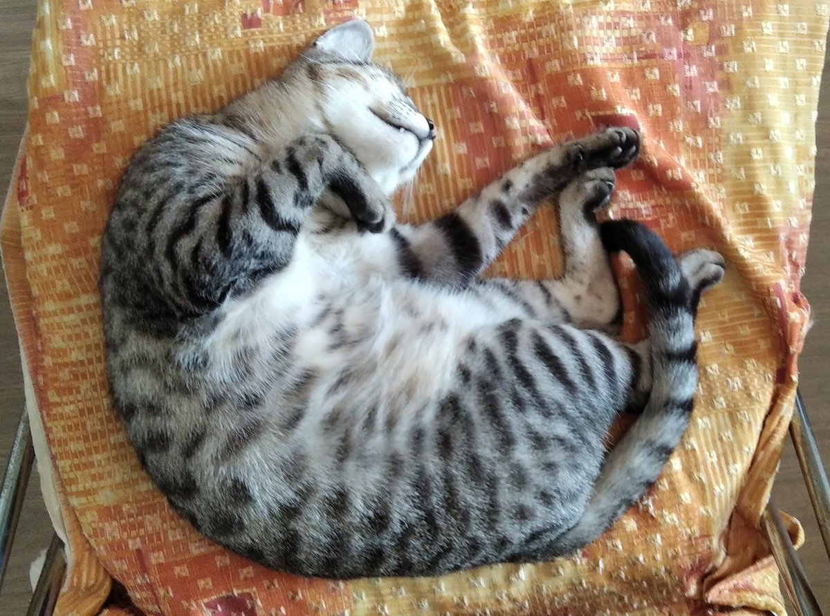 Suzuki スズキ tweet media