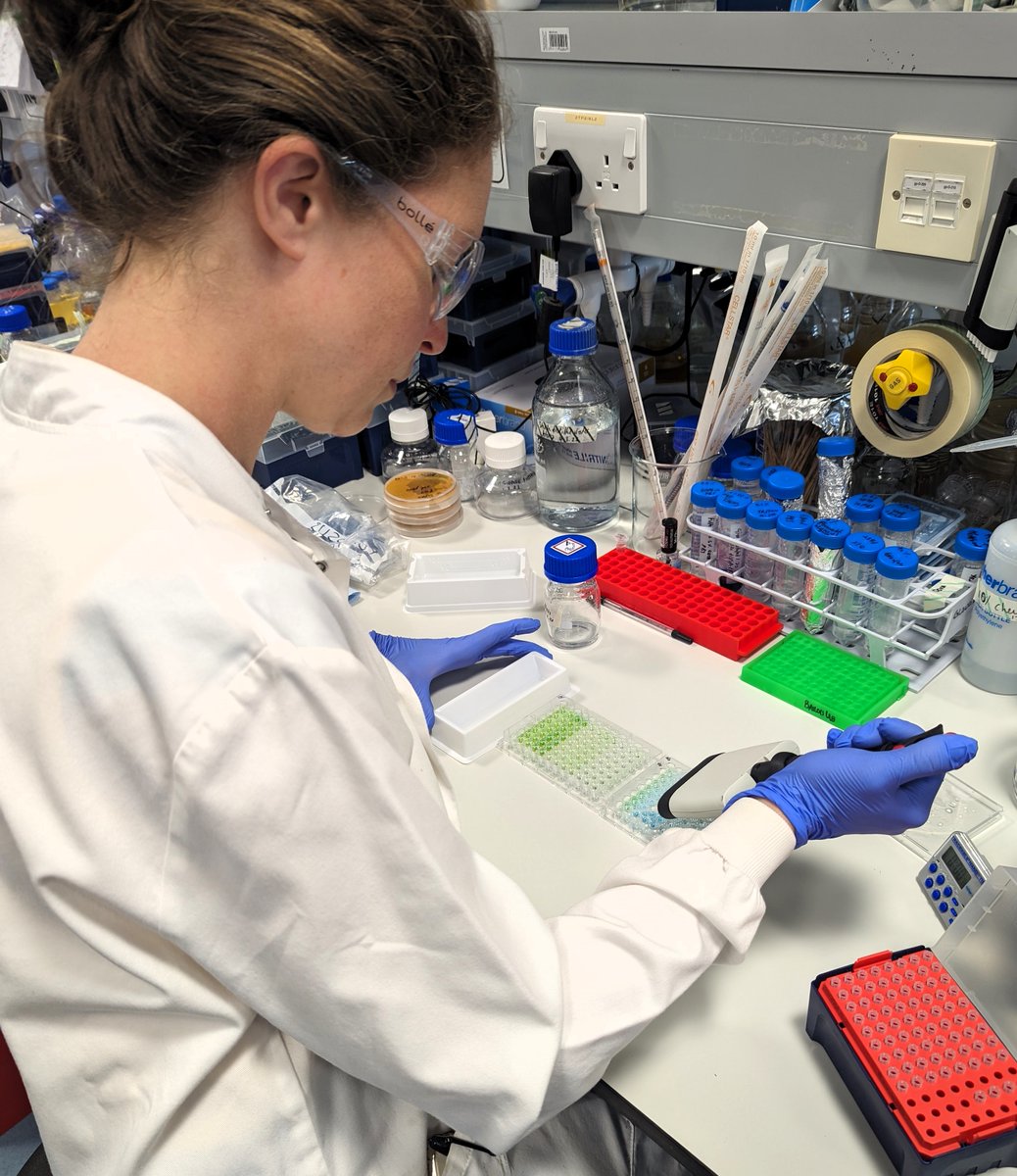 Noah's Pink Balloon Leukaemia Fund tweet media