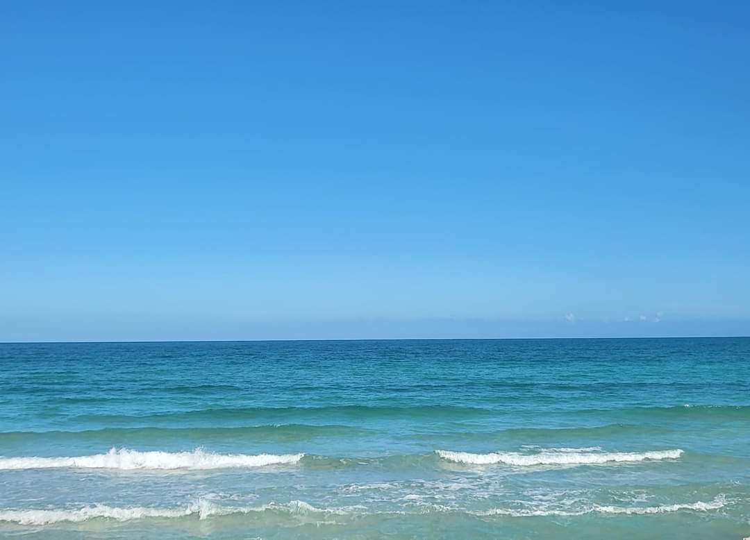 KaoutherDeMars's tweet photo. Je vous souhaite une belle journée du seul endroit qui a un effet thérapeutique sur le dragon que je suis, ma #mermediterranee. 💙
#ThankYou #life 🙏🏼💙
#lifestyle
#KaoutherBenMohamed https://t.co/IGmI9zbUZO