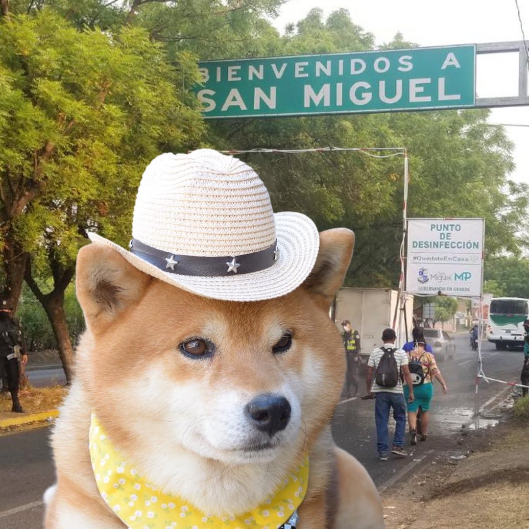 re_basado's tweet photo. MAKE SAN MIGUEL GREAT AGAIN https://t.co/i77vfs28fG