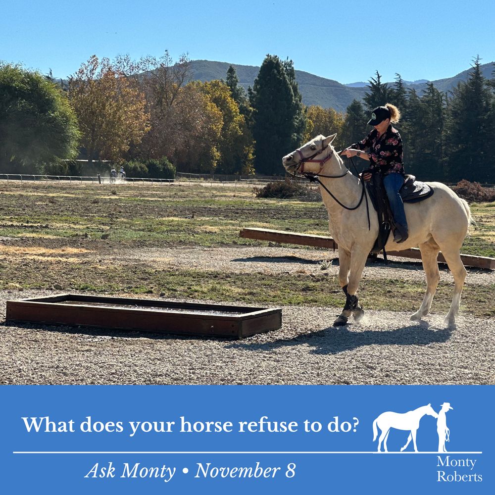 Question: What does your horse refuse to do? Read Monty's answer in the Ask Monty Q&A: montyrobertsuniversity.com/q_and_a Have your own question for Monty? 👉 Send it to askmonty@montyroberts.com #MontyRoberts #AskMonty #StartingNotBreaking