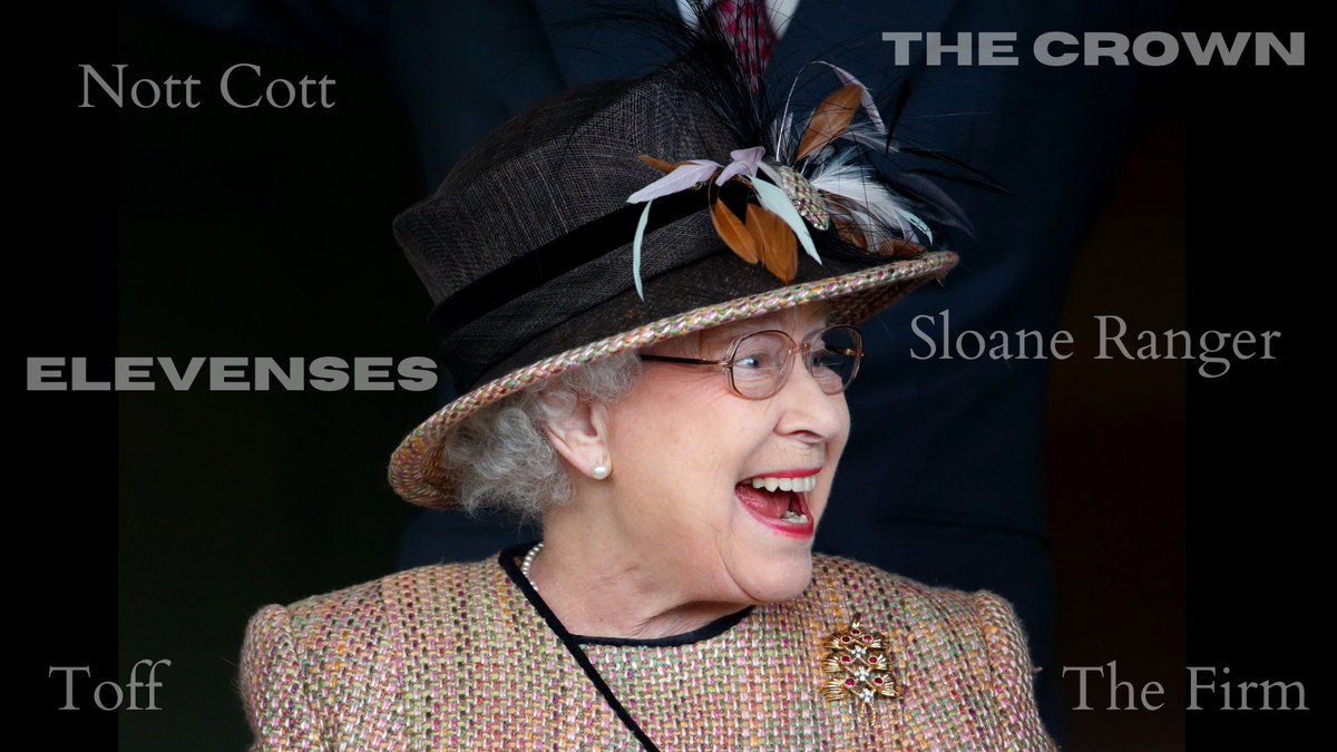 Night Daily tweet media