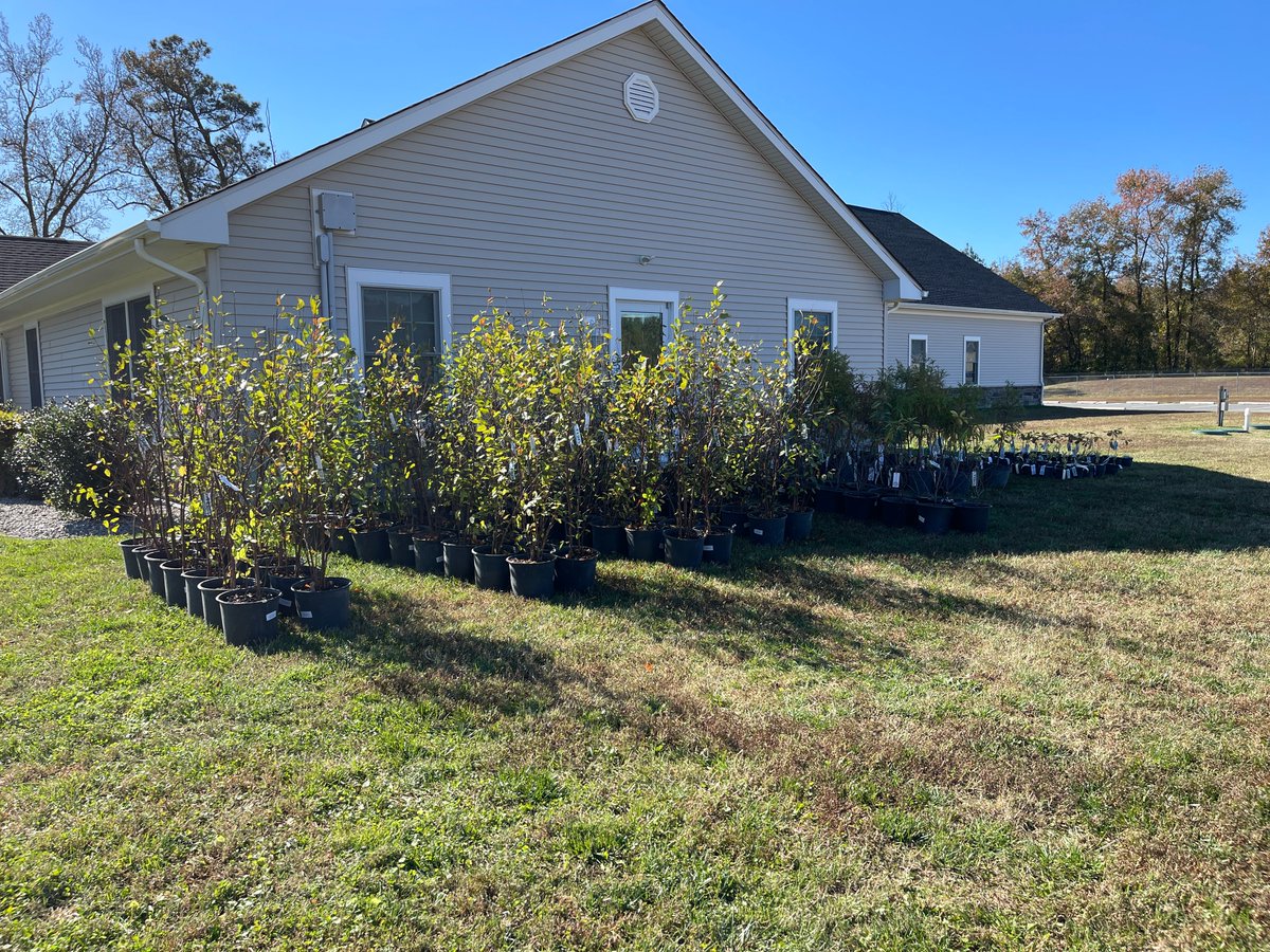 DelawareForests's tweet image. @scd_de native tree giveaway in Georgetown - Last Thursday, in less than 30 minutes, 200 trees were given away to the community 🌳 These trees were provided by @DNRECClimate - Thank you for partnering with us. The turnout was incredible! #NetDE #communitrees