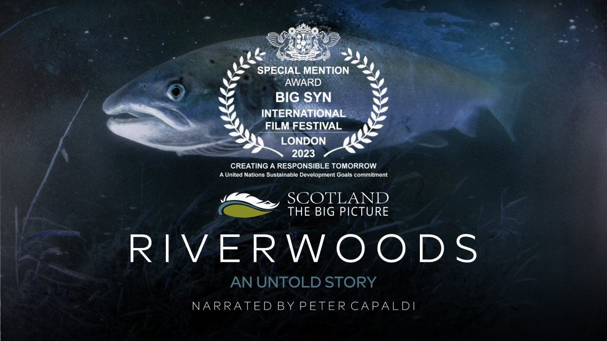 We're excited to say that #Riverwoods has received a Special Mention award at @LondonBigSynFF 2023, a film festival showcasing stories created to inspire positive change. Find out more about the Riverwoods film: scotlandbigpicture.com/riverwoods