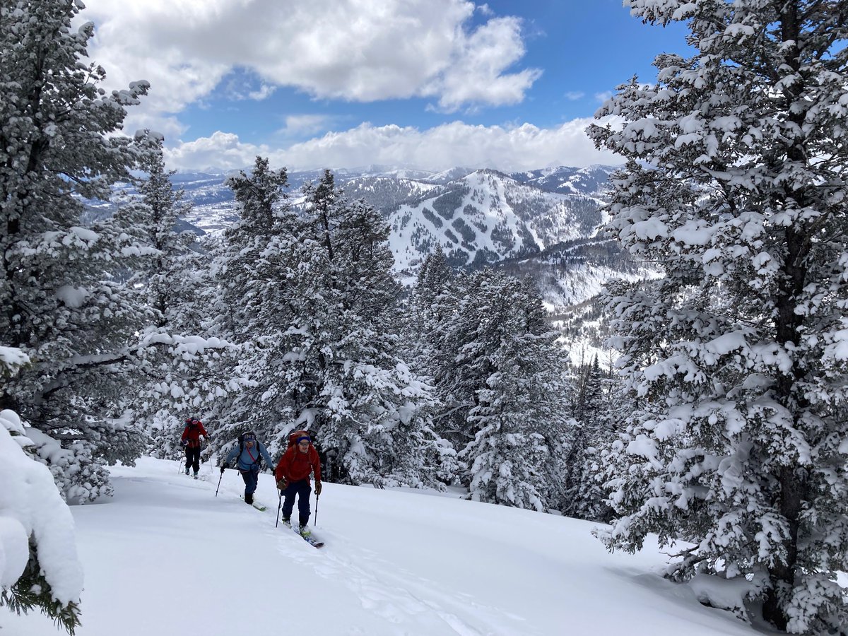 Scott Hotaling tweet media