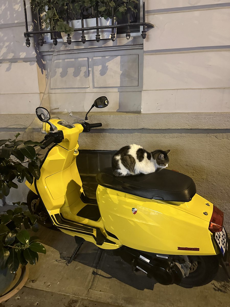 david phelps tweet media