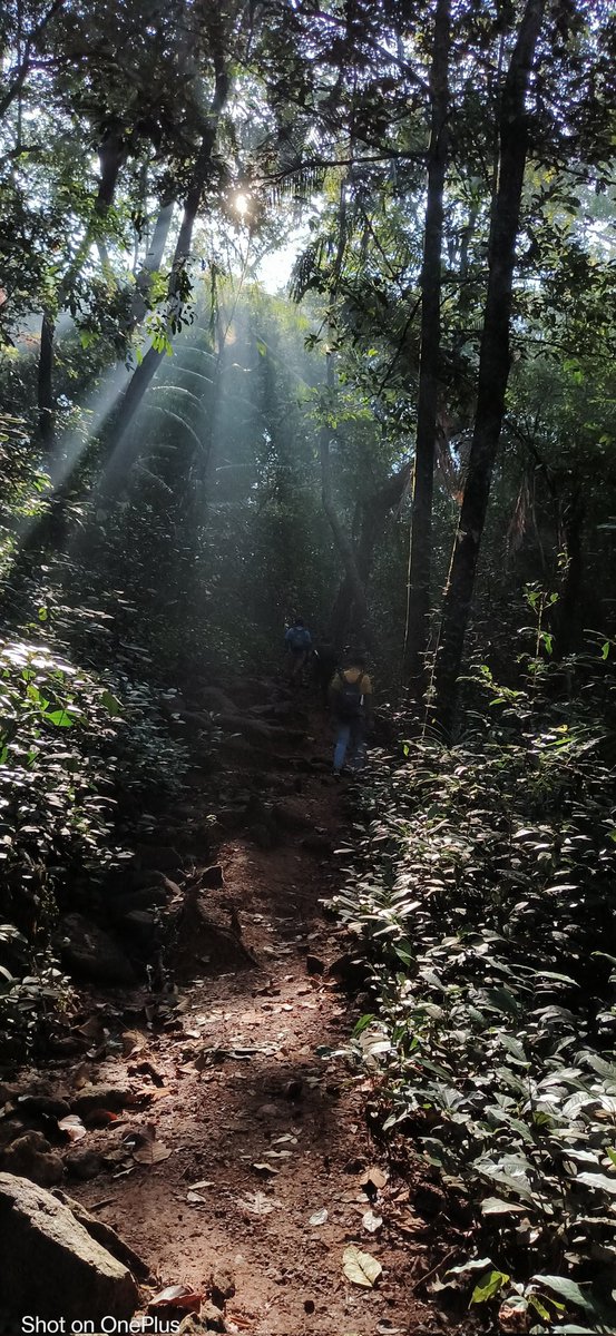 Yaarige_helona's tweet image. Best Trekking experience for me

And also my first ever multiple day Trek 

2nd Forest camp but first in dense forest

Weekend spent well 😊

#spamAlert