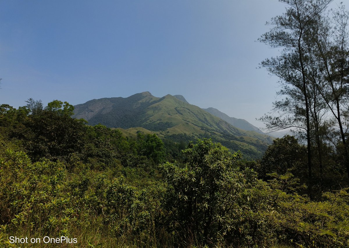 Yaarige_helona's tweet image. Best Trekking experience for me

And also my first ever multiple day Trek 

2nd Forest camp but first in dense forest

Weekend spent well 😊

#spamAlert